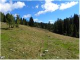 Konec ceste na Vogar - Planina Ovčarija